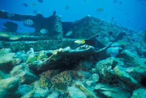 biscayne-np-underwater-wreck