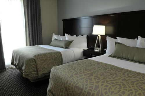 Photo of guest room at Staybridge Suites in St Petersburg, Florida
